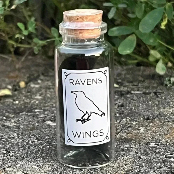 NEW SET of (7) Target Spell/Potion Bottles - Adorable Halloween apothecary jars - Picture 14 of 16